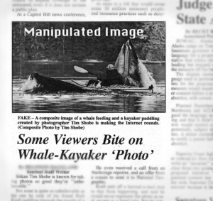 Kayaker Whale Newspaper Article